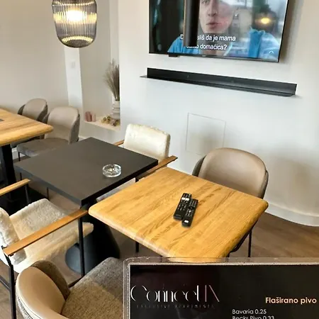 Connectin Apartman Pale