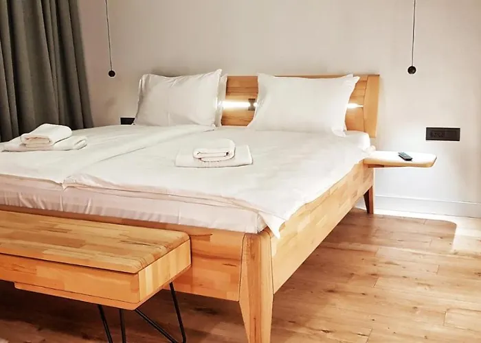 Connectin 公寓 帕莱