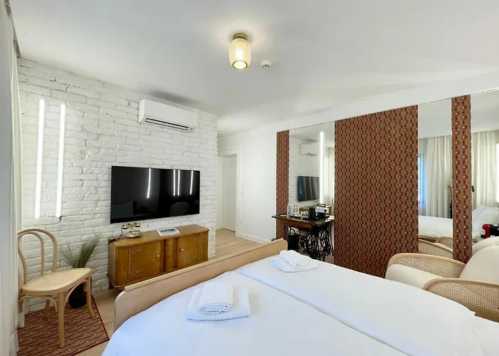 Connectin 公寓 帕莱